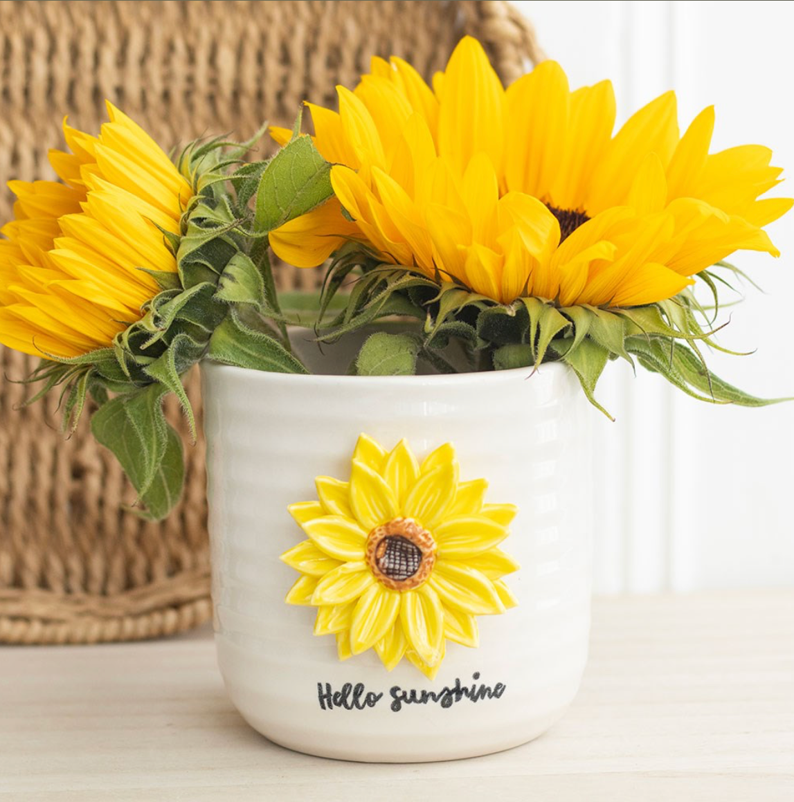 Sunshine Plant Pot