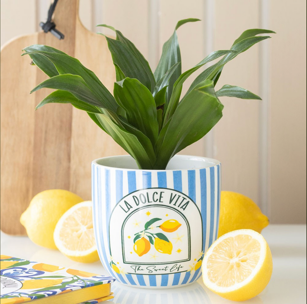 La Dolce Vita Plant Pot